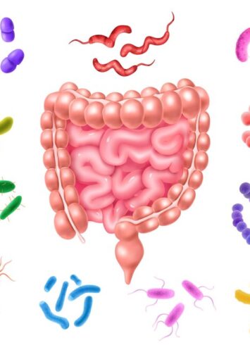 ¿Qué es la microbiota?